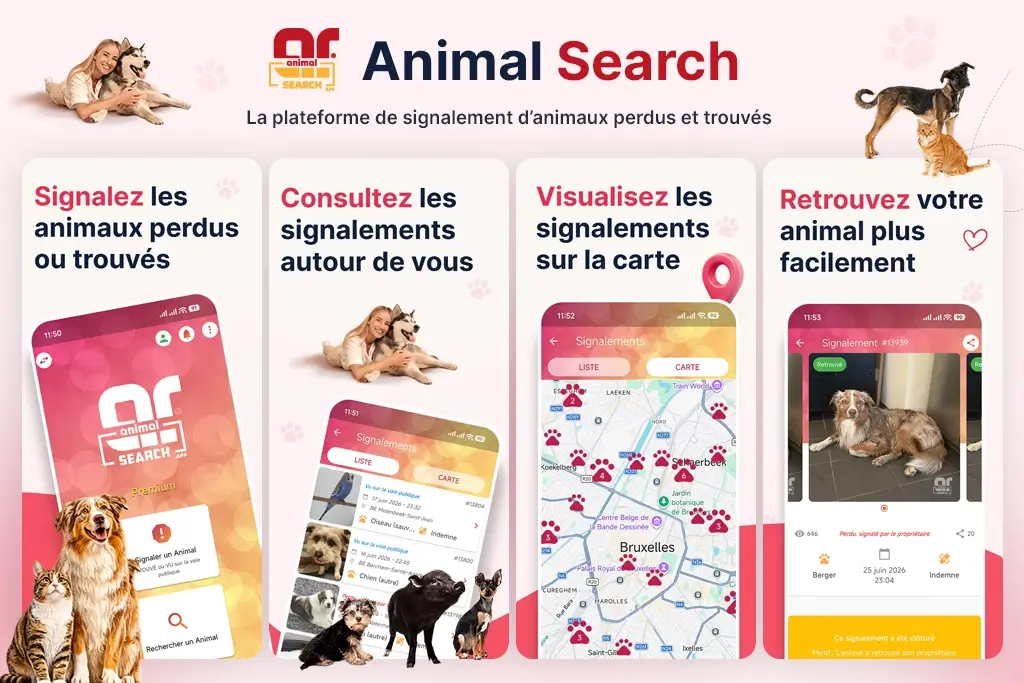Animal Search
